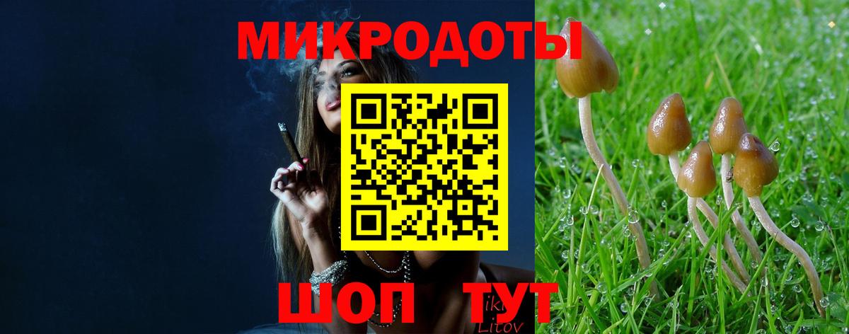 Хабаровск  Псилоцибиновые грибы GOLDEN TEACHER  Псилоцибиновые грибы MAGIC MUSHROOMS  Вход с VPN 